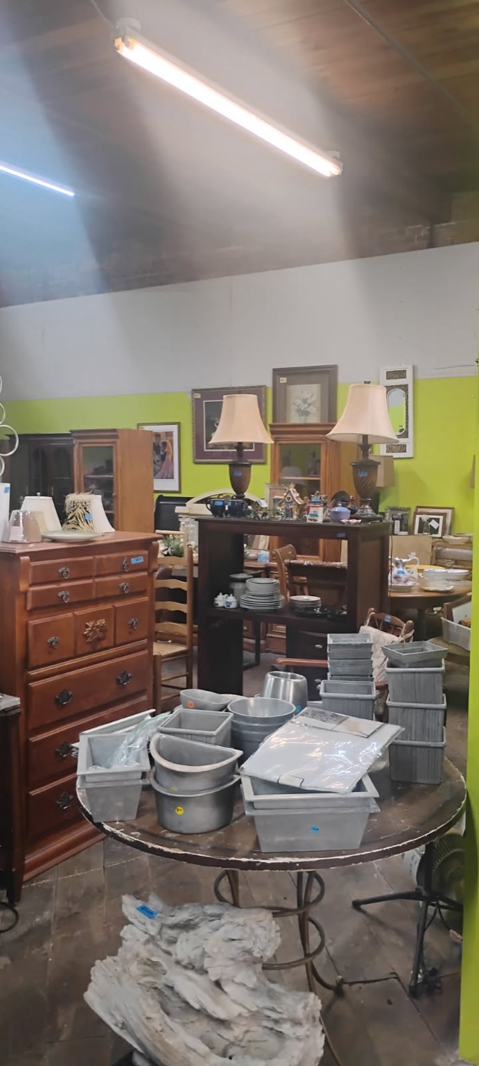 Decor shelves with vintage collectibles